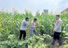 Polsek-Krembung-Kawal-Program-P2B-Desa-Lemujut