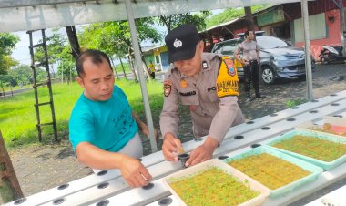 Polsek-Taman-Tinjau-Perkembangan-Sayur-Hidroponik-Dukung-Ketahanan-Pangan-Warga