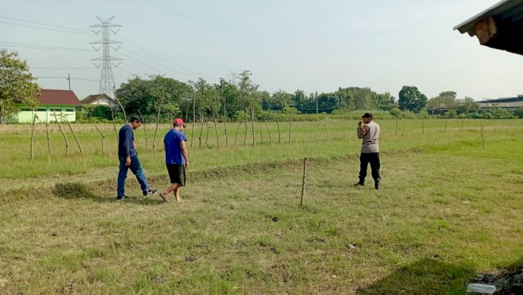 Polisi Sidoarjo Gandeng Gapoktan untuk Keberhasilan Tanaman Jagung