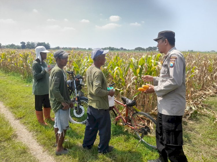 Patroli Polsek Tarik Kawal Program Swasembada Pangan